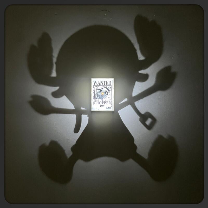 Cartoon Toy One Piece Light Sh – обзор и цена Photography Darkroom